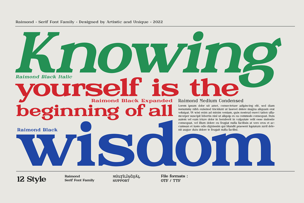 Raimond - Serif font family, a Serif Font by Artistic & Unique (Photo 4 of 15)