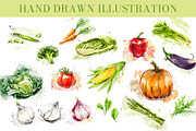Watercolor Vegetables Set PNG, an Object Graphic by Elena Naumchenkova (Thumbnail 2 of 6)