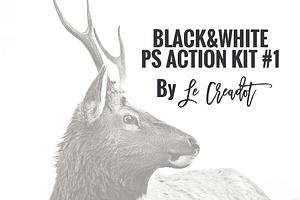 BLACK&WHITE PS ACTIONKIT #1