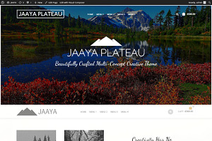 JAAYA Multi-Purpose Creative Theme