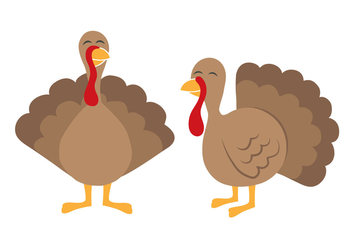 Turkeys with Signs, an Illustration by Illustrations by Jessie (Photo 2 of 5)