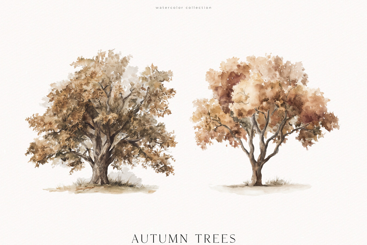 An Autumn Forest Chapter Collection, an Animal Illustration by PeDe Designs (Photo 21 of 29)