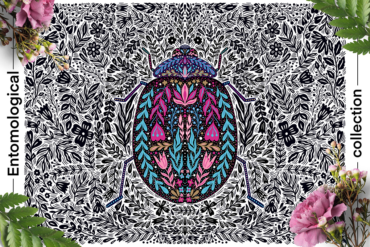 Entomological collection insect, a Decorative Illustration by Moonflora (Photo 5 of 13)