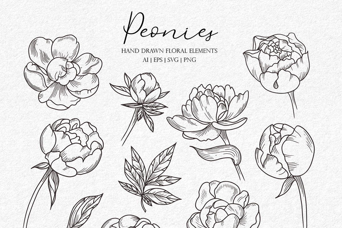 Peonies Line Art SVG, AI, EPS, PNG, a Decorative Illustration by InstaDesignPro (Photo 4 of 12)