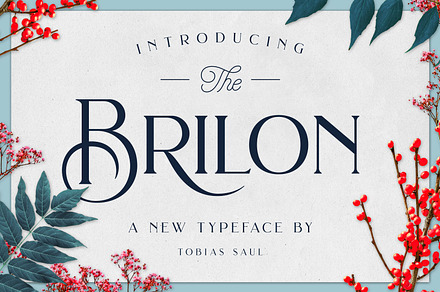 Brilon Font + Extras, a Font by Heritage Type Co.