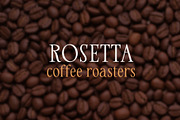 Rebus — Modern Classic Serif, a Font by vatesdesign (Thumbnail 2 of 6)