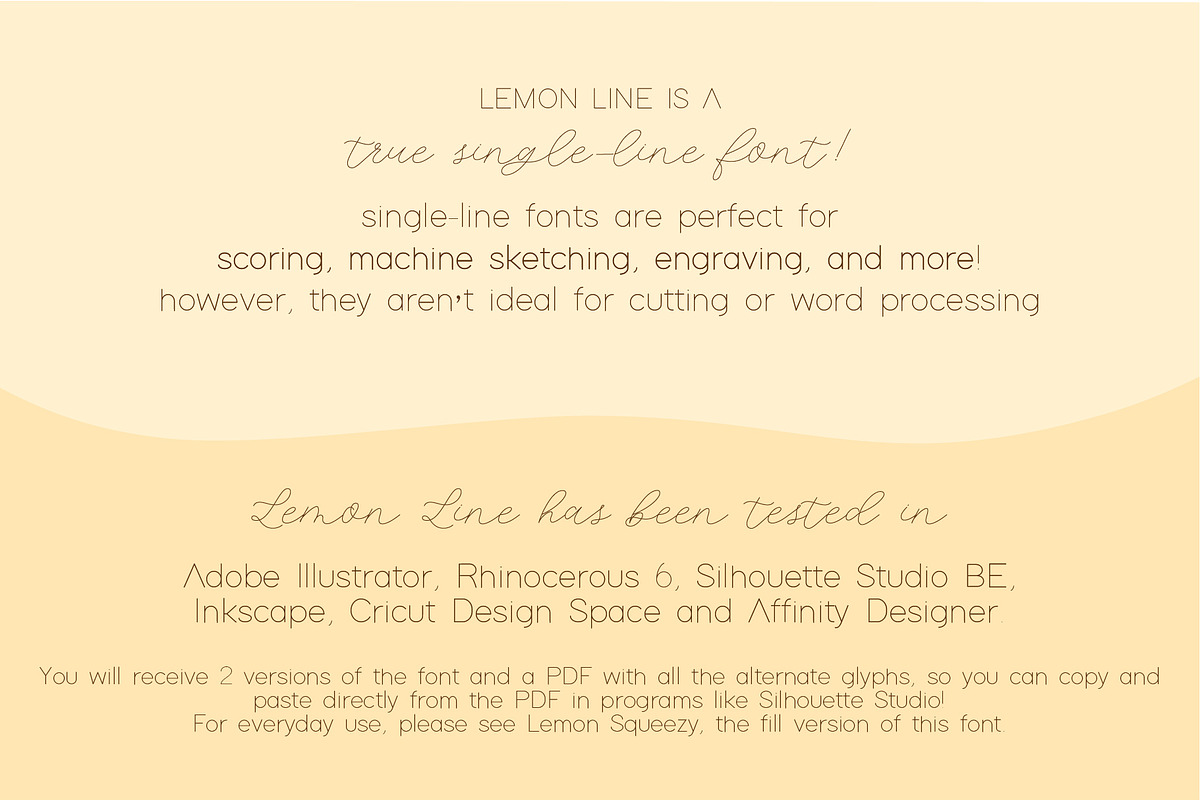 Lemon Line Single Line Font, a Font by Design by Laney (Photo 3 of 14)