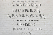 Carmila, a Handwritten Font by FreshTypeINK (Thumbnail 6 of 8)