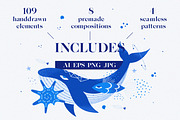 Cosmic Sea - Vector Collection, an Animal Illustration by Leila Divine (Thumbnail 3 of 9)