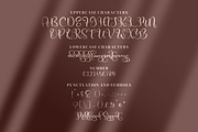 Battera, a Font by Integritype Studio (Thumbnail 7 of 10)