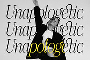 The Silver Editorial - 18 Fonts Pack, a Serif Font by SilverStag Type Foundry (Thumbnail 24 of 30)