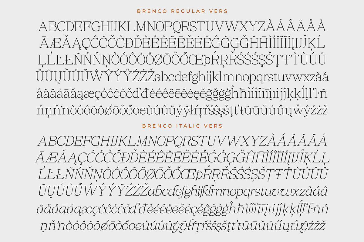 Brenco, a Serif Font by zeenesia (Photo 17 of 17)
