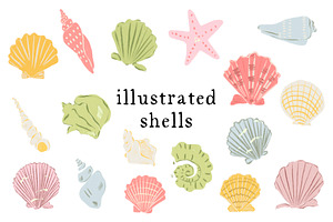 Illustrated Shells, an Object Illustration by Olive & Lu Paper