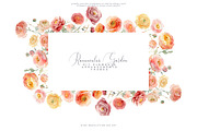 Watercolor Ranunculus Clipart Set, a Decorative Illustration by Patishop Art (Thumbnail 6 of 10)