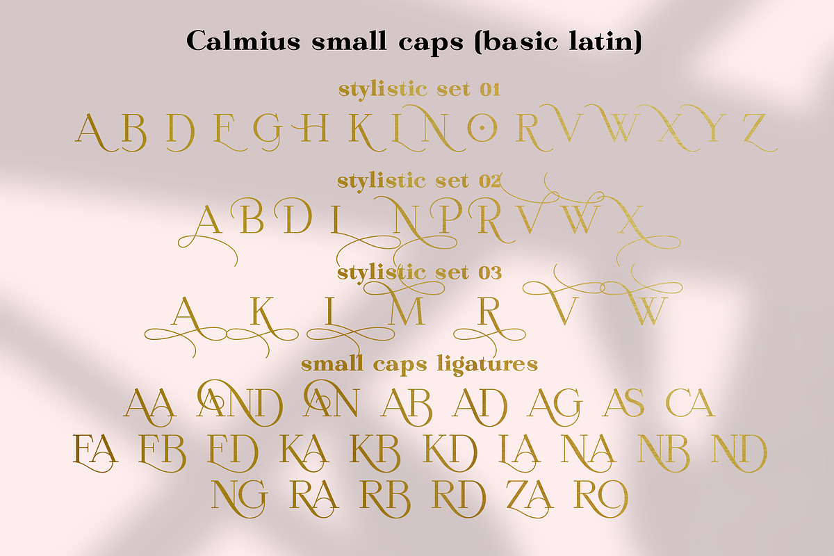 Calmius Extra Light, a Serif Font by NREY (Photo 10 of 11)