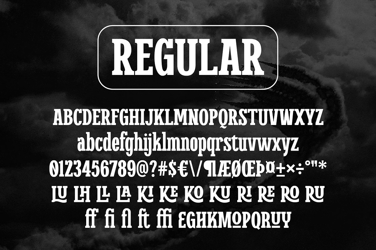 Larocha - Slab, a Slab Serif Font by Novitype (Photo 8 of 11)