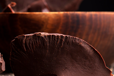 divided into pieces a piece of chocolate from cocoa, a Background Photo by MyPhotos
