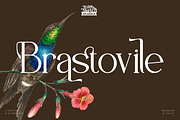 Brastoville - Modern Serif Font, a Serif Font by Rishsketch (Thumbnail 1 of 15)