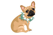 French Bulldog Vector Illustrations, an Animal Illustration by Putnam Road Art (Thumbnail 2 of 5)