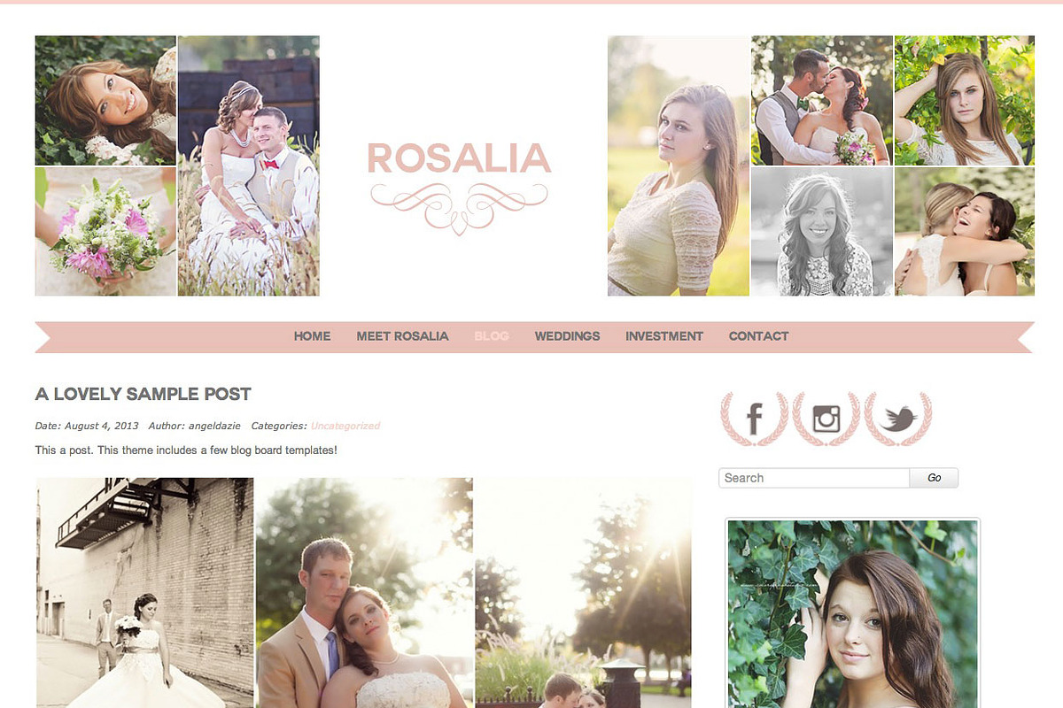 Rosalia Responsive Wordpress Theme, a WordPress Template by Color Splash Studio (Photo 2 of 5)
