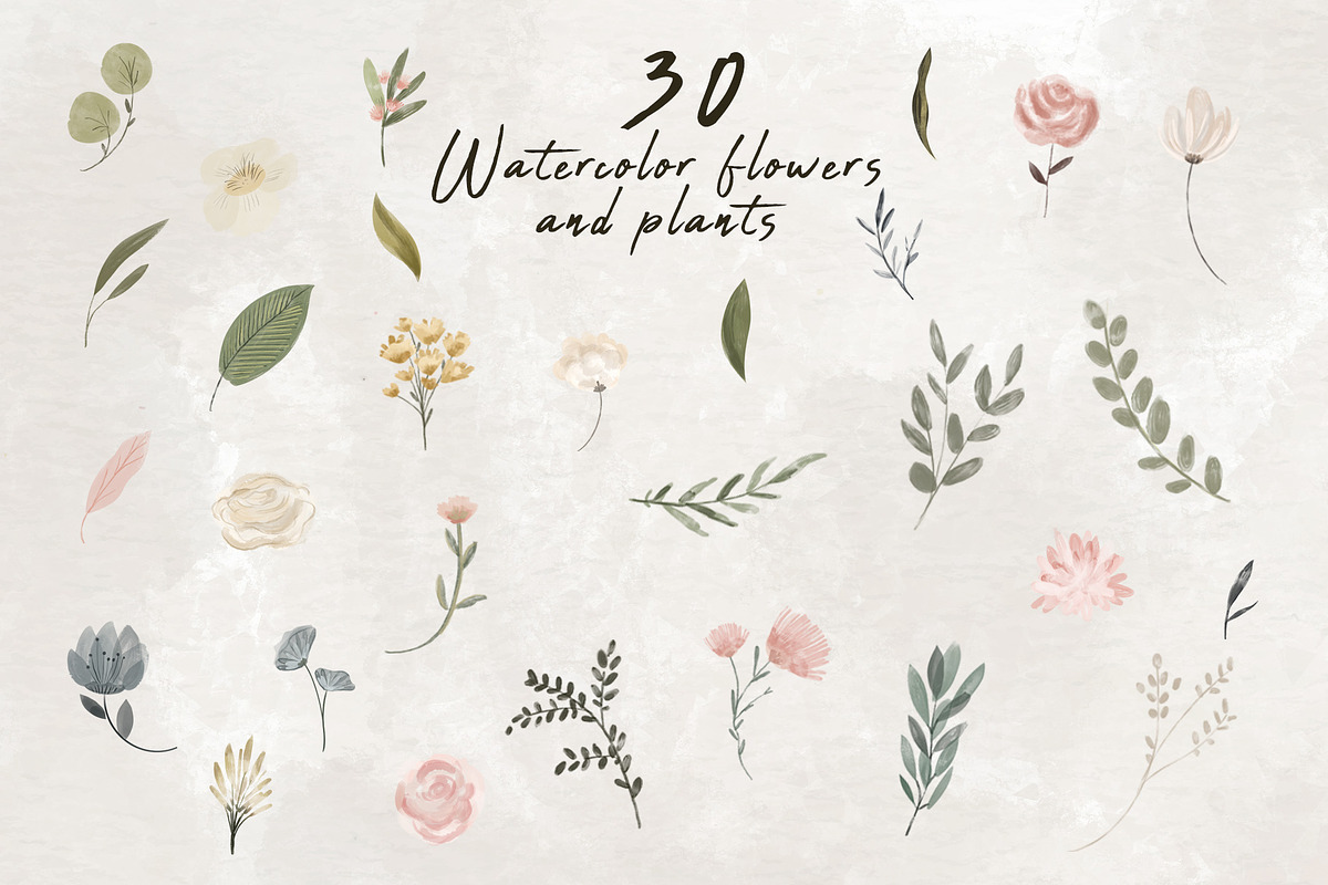 Wedding map creator watercolor, an Illustration by Cocoa studio by Eliza M (Photo 14 of 18)