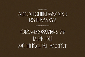 Lecmer Elegant Ligature Serif Font