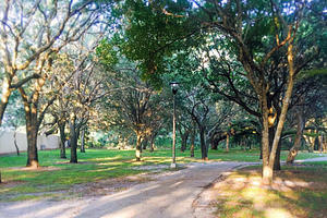 Pathway Green Trees Digital Photo, a Nature Photo by Godserv Designs