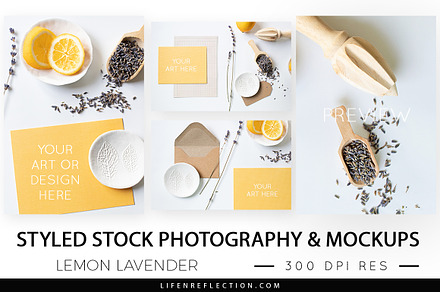 Styled Stock Photography and Mockups