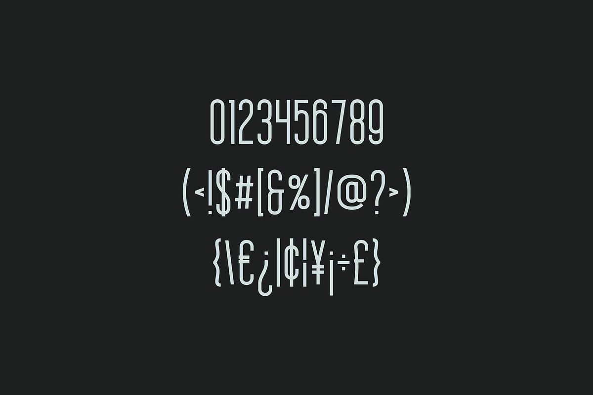 Braden Sans preview 4