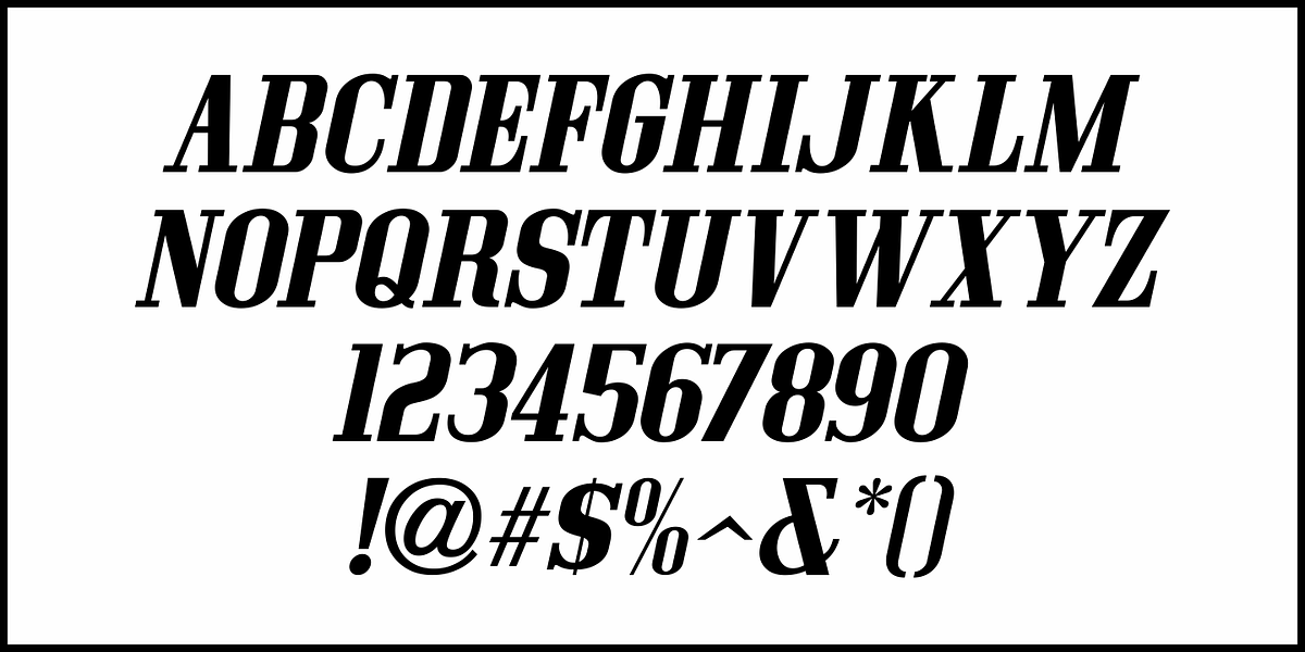 Screenwriter JNL, a Serif Font by Jeff Levine Fonts (Photo 5 of 5)