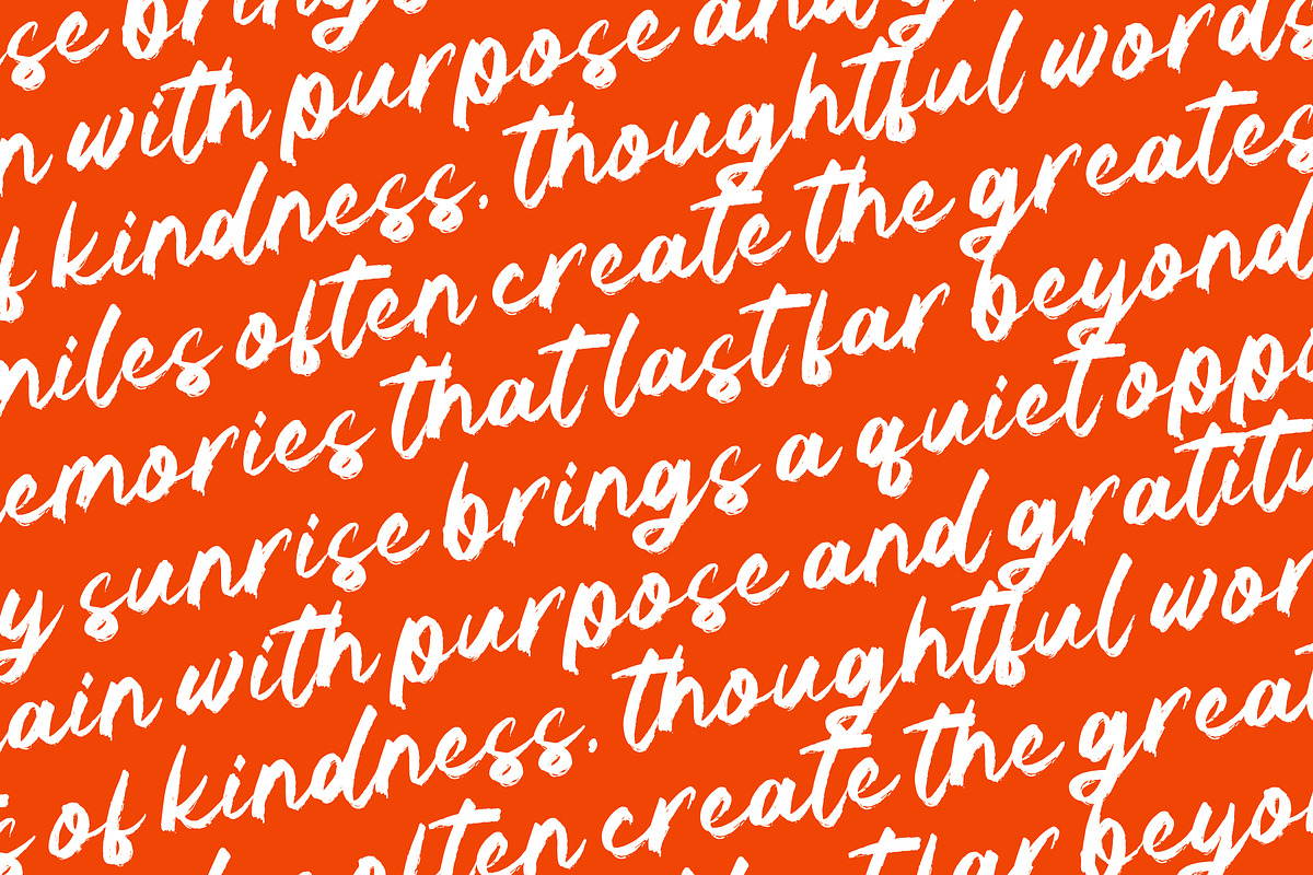 Sound Seekers Rough Brush Script, a Handwritten Font by AmorfaType (Photo 7 of 8)