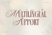 Velysha Grace – Hybrid Serif Script, a Serif Font by Almeera Std (Thumbnail 7 of 10)