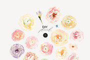 REGENCY ERA watercolor flowers, a Decorative Illustration by Lana Elanor (Thumbnail 12 of 13)