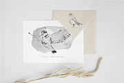 Birds of Africa Illustrations, a Decorative Illustration by CL Creative Studio (Thumbnail 5 of 14)