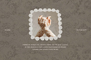 Vintage Lace Papers backgrounds, a Background Graphic by DigARTbyHavroshka (Thumbnail 3 of 13)