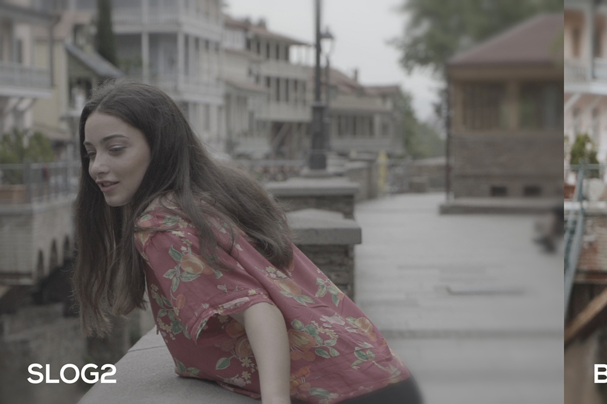 Cinematic Luts (Slog2 & Slog3), a Layer Style Add-On by GeorgeKhelashvili (Photo 7 of 10)