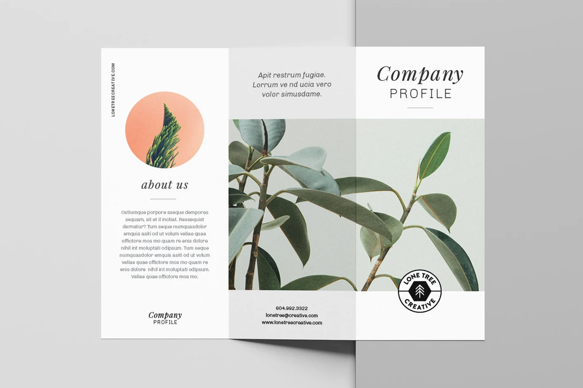 Minimal Trifold Brochure Template, a Brochure Template by frommakertomaker (Photo 1 of 4)