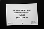 Dinile: High-End Luxury Serif Typefa, a Font by Astuti Studio (Thumbnail 15 of 16)
