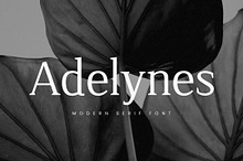 Adelynes - Modern Serif Font