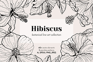 Hibiscus Flower Ink Line Art Drawing