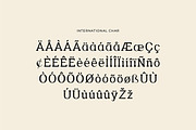 Methadone Modern Serif Font, a Serif Font by UICreative (Thumbnail 9 of 13)