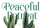 Bastible Modern Serif Font, a Serif Font by Letterena Studios (Thumbnail 8 of 15)