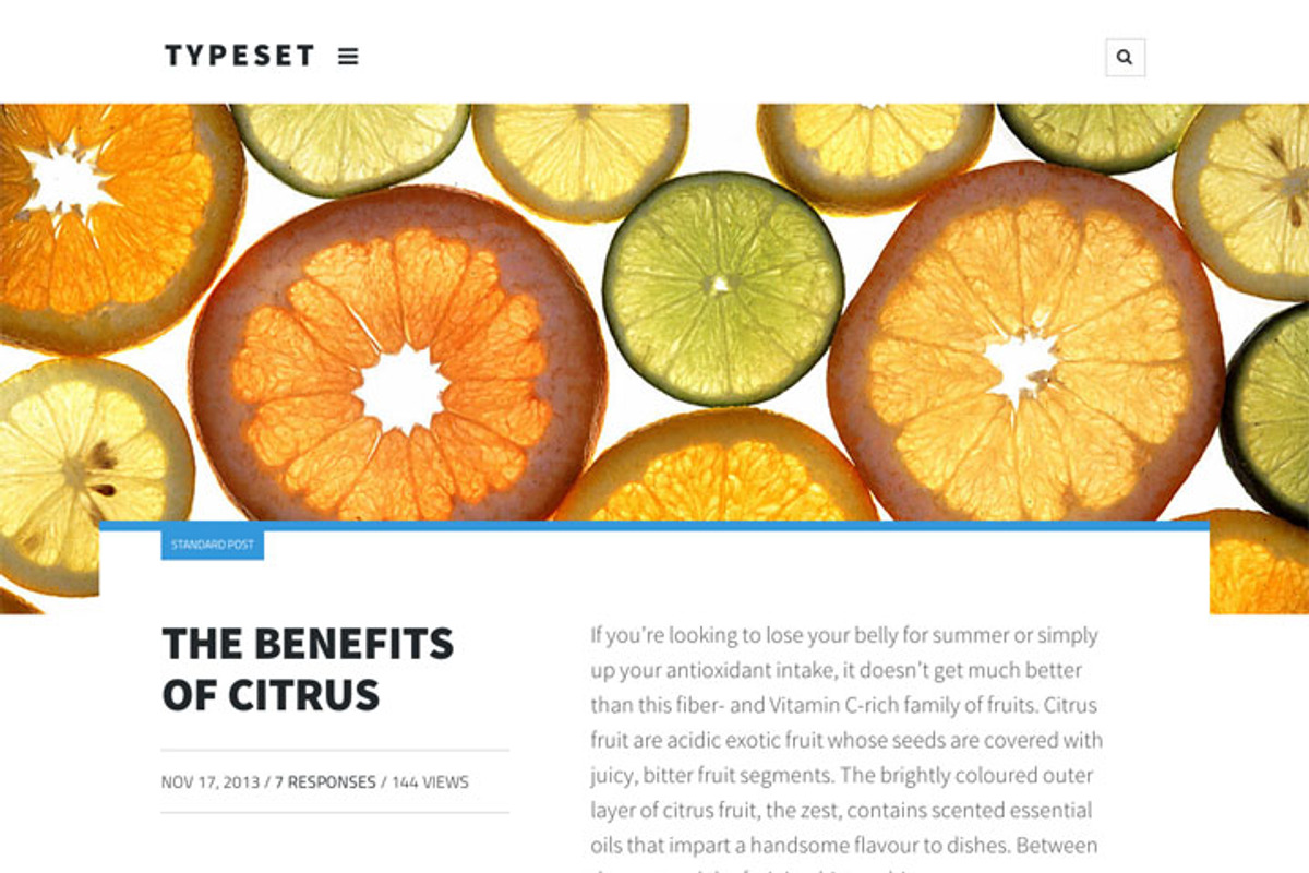 Typeset. A Magazine Blog & Portfolio, a WordPress Template by Courtyard Themes (Photo 3 of 4)