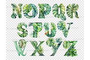 Monstera Alphabet Clipart, a Seasonal Illustration by GlamArtZhanna (Thumbnail 5 of 5)