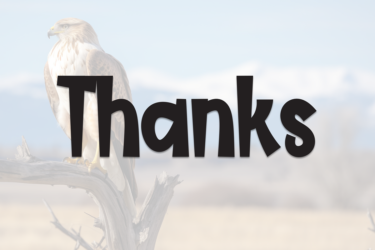 Eagle Highland | Script Font, a Script Font by Scratchones (Photo 9 of 9)