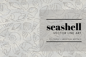 Seashell vector line art