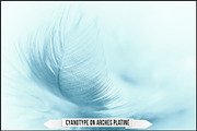 Authentic Cyanotype LUTs, a Plug-in Add-On by Raztrend (Thumbnail 21 of 32)