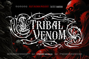 Reptilian Stinger Typeface, a Serif Font by alit design (Thumbnail 6 of 19)