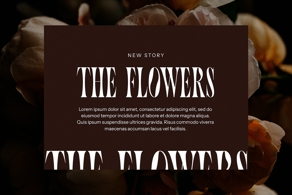 Toughe Unique Serif Font, a Serif Font by Perfectype (Photo 2 of 8)