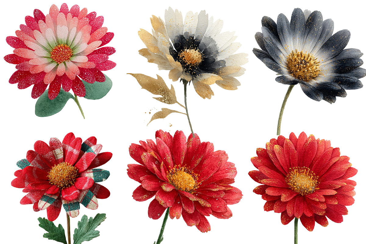 Christmas Daisy Flowers Clipart, an Illustration by Designworld (Photo 5 of 5)